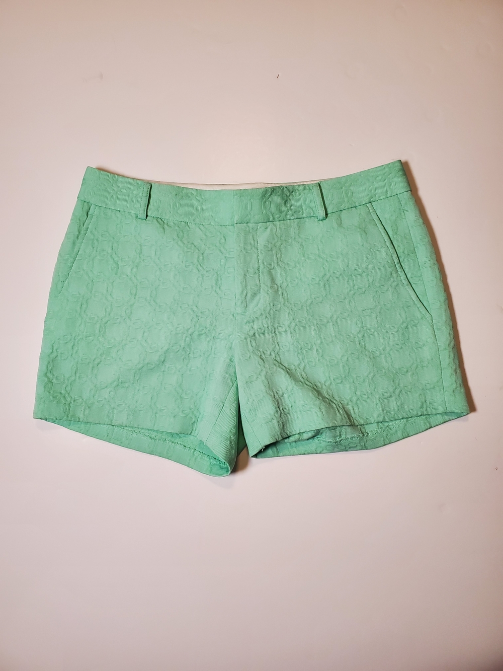 Banana Republic Mint Green Jacquard Textured Shorts Size 6